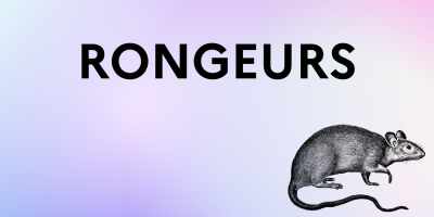 rongeurs